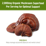 OM MUSHROOM SUPERFOOD Reishi Mushroom Powder mixed in a smoothie