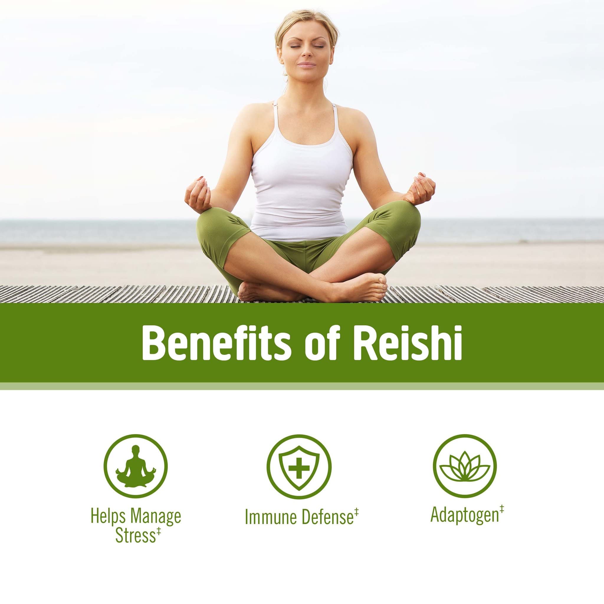 OM MUSHROOM SUPERFOOD Reishi Mushroom Powder scoop with powder