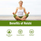 OM MUSHROOM SUPERFOOD Reishi Mushroom Powder scoop with powder