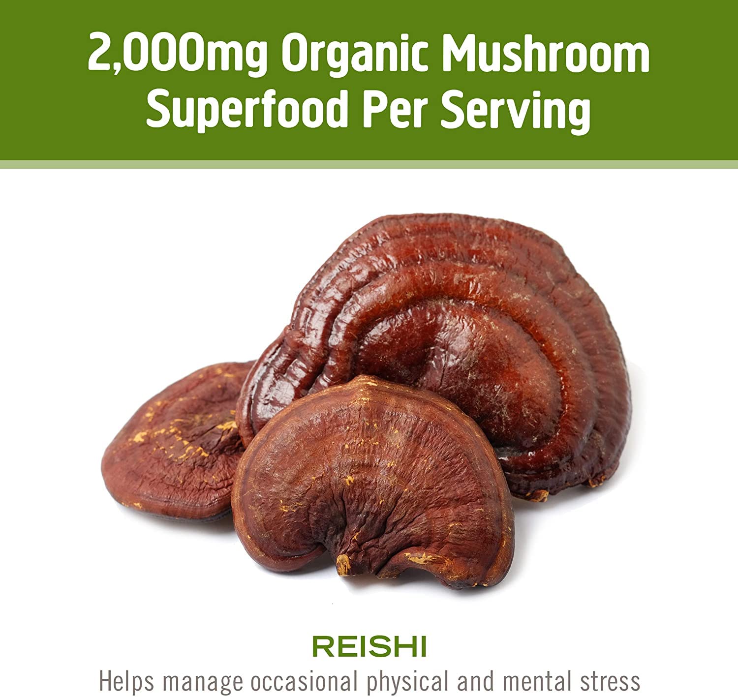 OM MUSHROOM SUPERFOOD Reishi Organic Mushroom Powder ingredients list