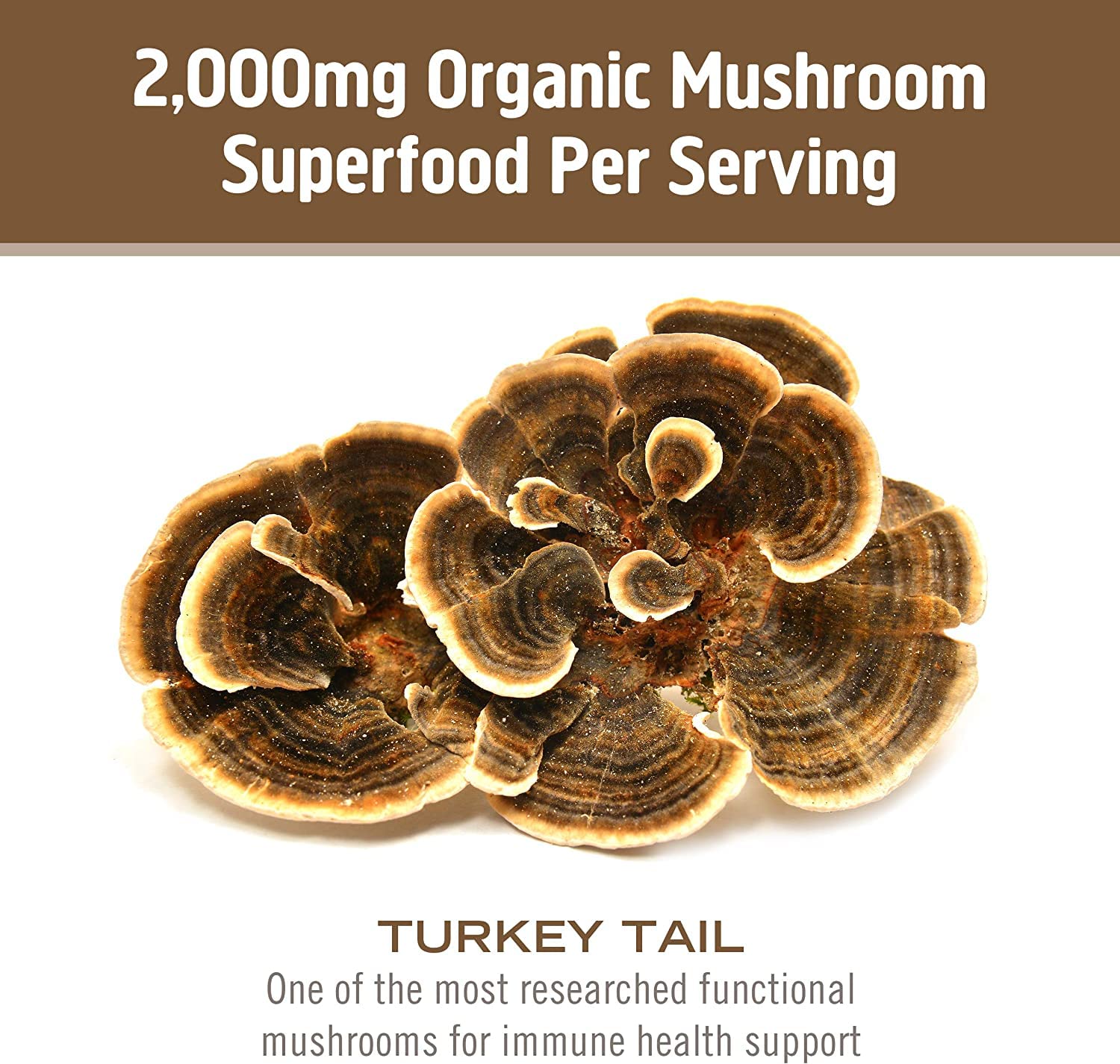 OM MUSHROOM SUPERFOOD Turkey Tail Mushroom Capsules with fresh mushrooms