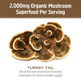 OM MUSHROOM SUPERFOOD Turkey Tail Mushroom Capsules with fresh mushrooms