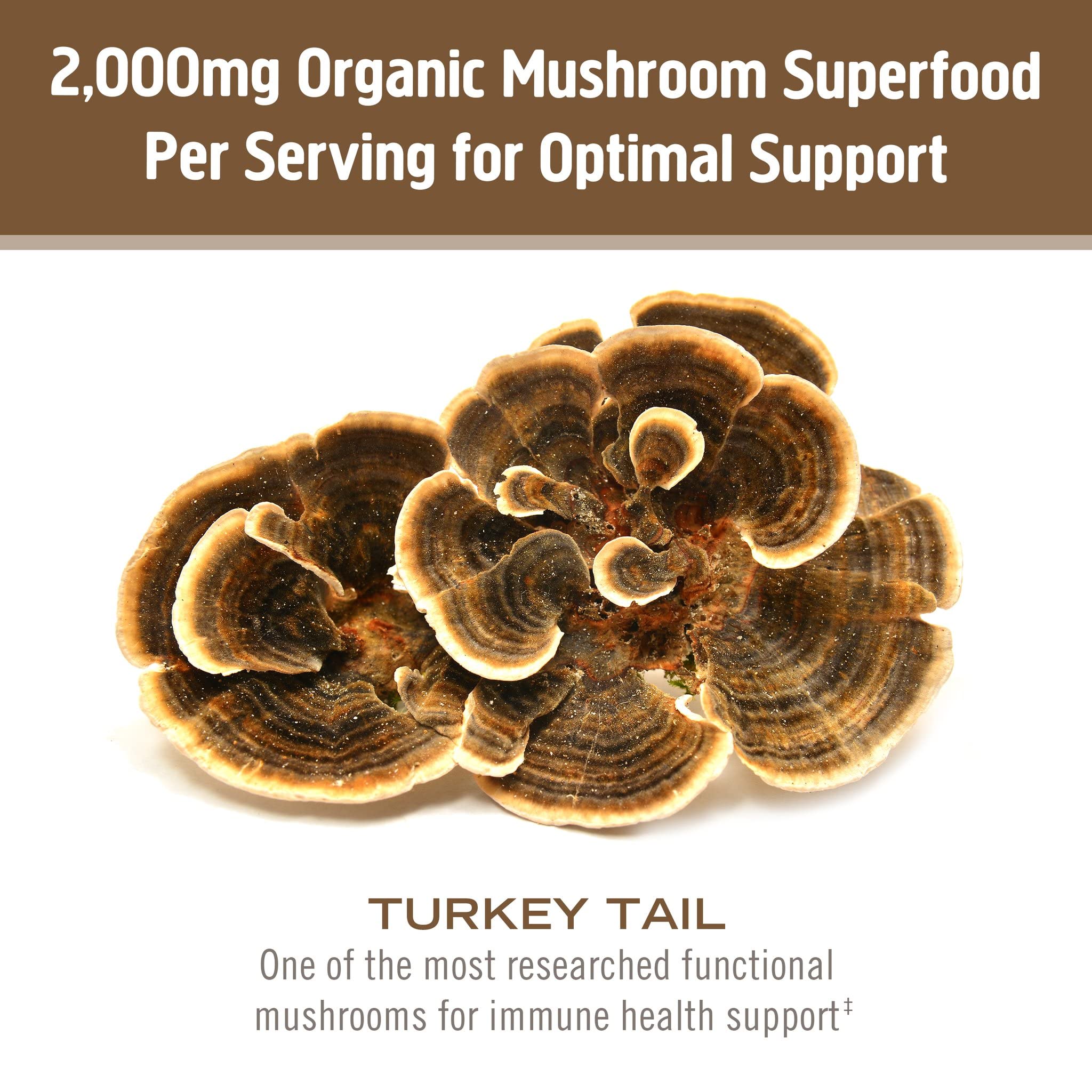 OM MUSHROOM SUPERFOOD Turkey Tail Powder in a coffee