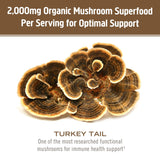 OM MUSHROOM SUPERFOOD Turkey Tail Powder in a coffee