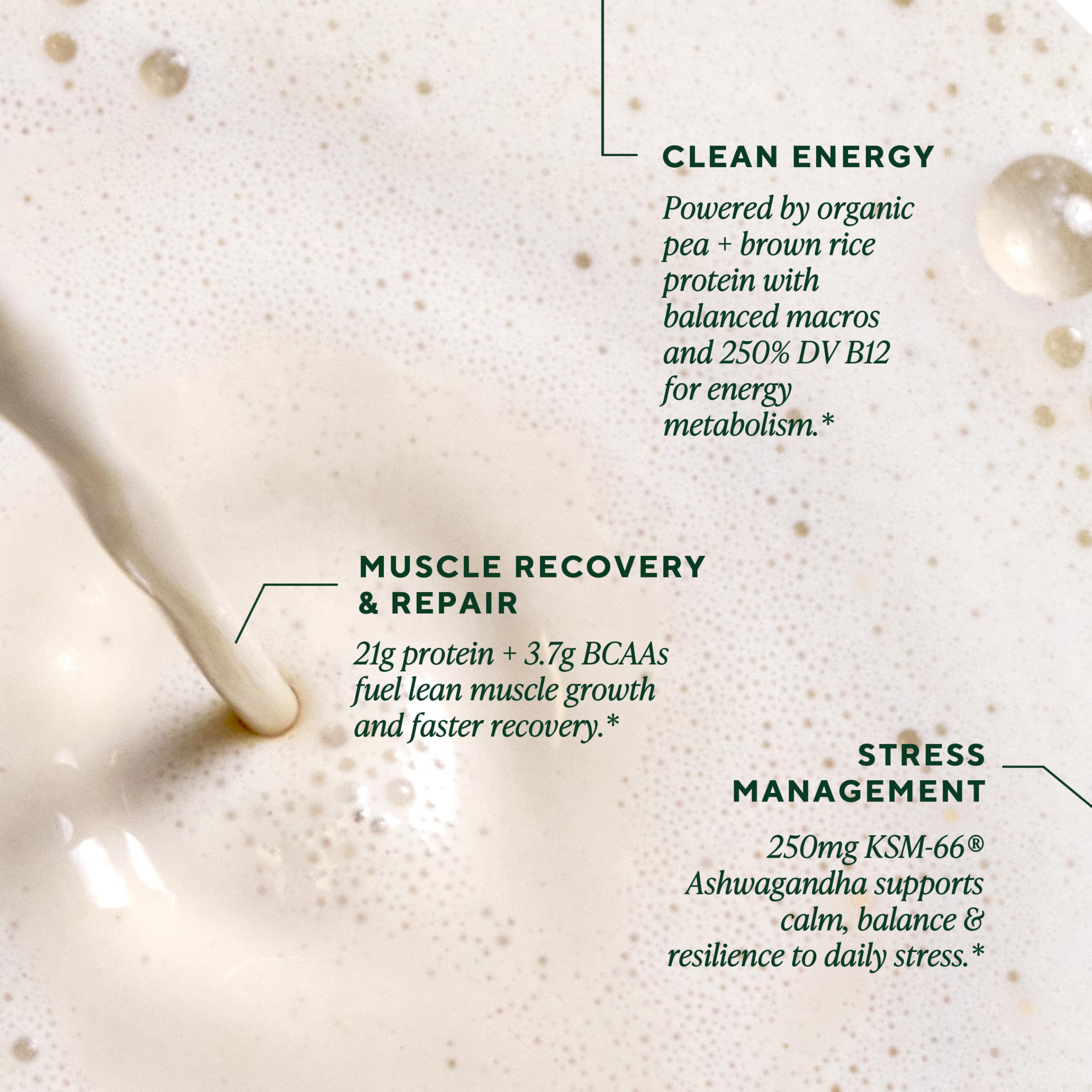 OM MUSHROOM SUPERFOOD Vanilla Protein powder scoop