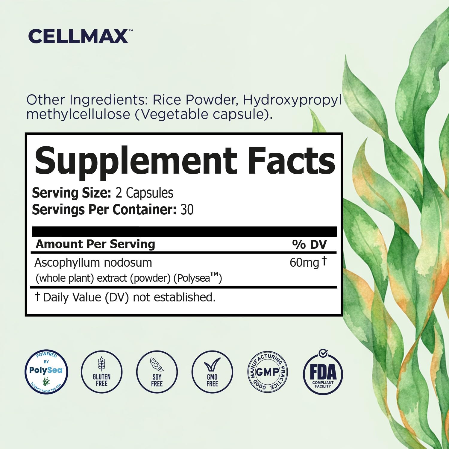 Omax3 Daily Wellness Capsules displayed with other health supplements