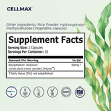 Omax3 Daily Wellness Capsules displayed with other health supplements