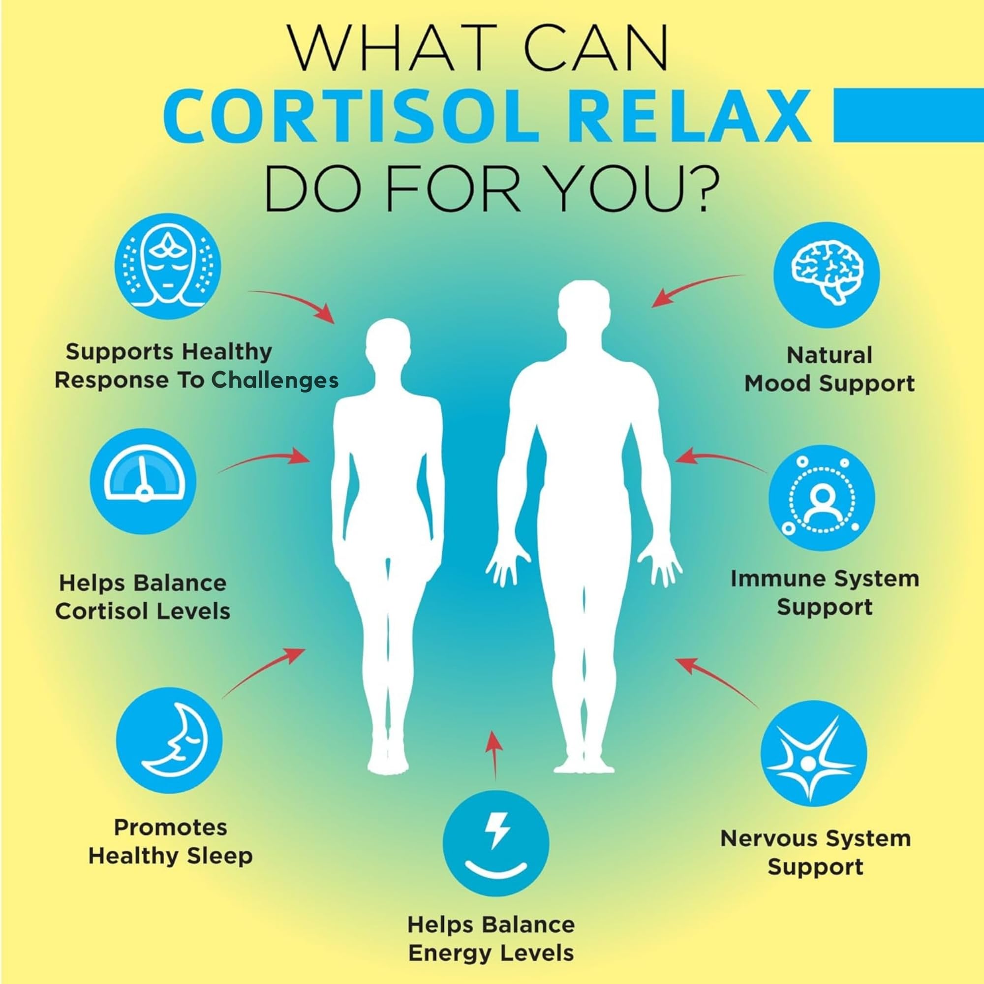 OmniBiotics Cortisol daily wellness capsule close-up