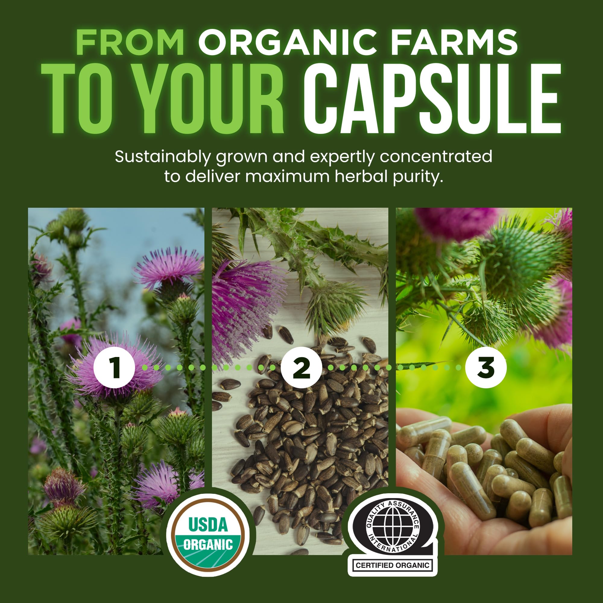 OmniBiotics Milk Thistle 1500mg Organic Capsules ingredients list