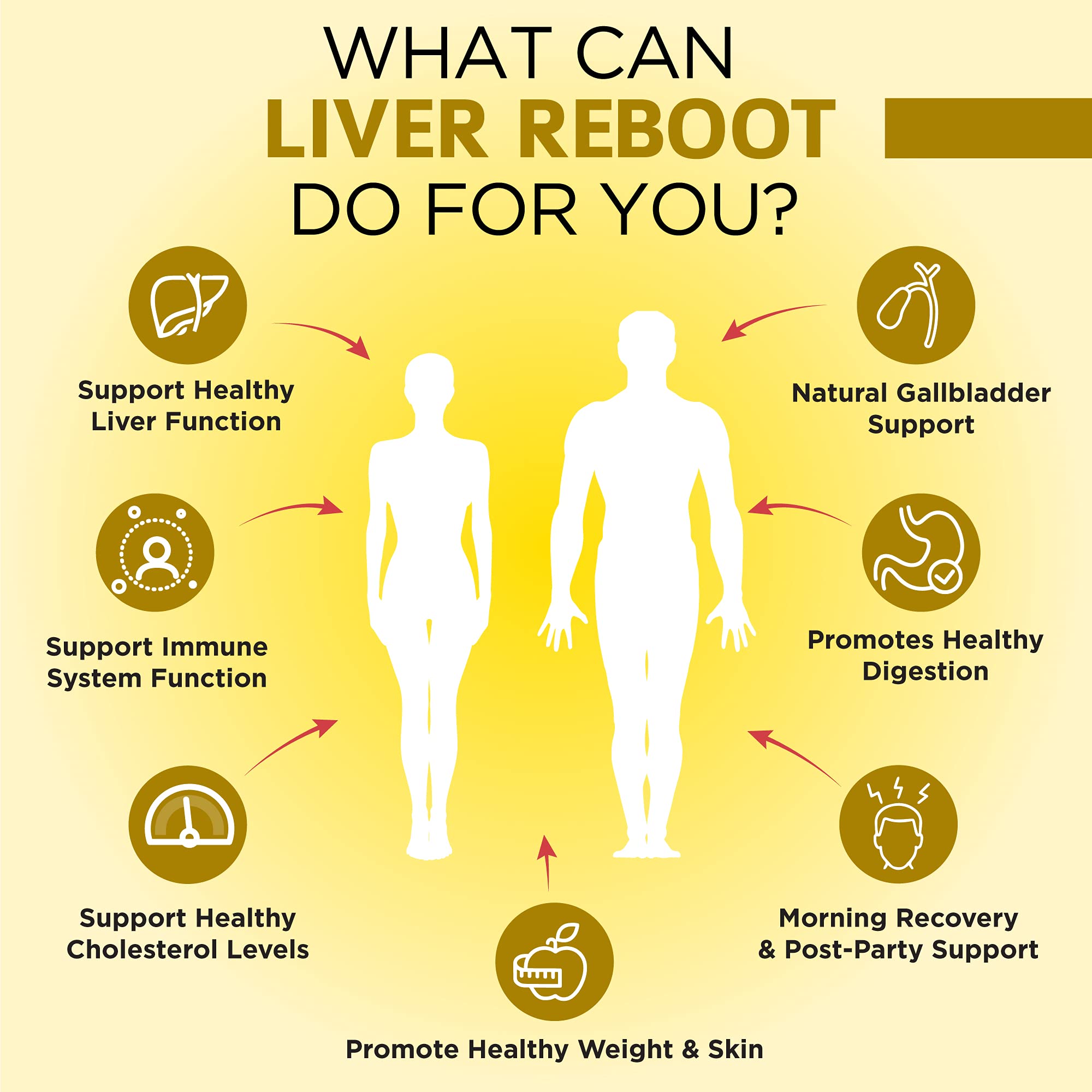 OmniBiotics Milk Thistle Supplement displayed with natural ingredients