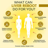 OmniBiotics Milk Thistle Supplement displayed with natural ingredients