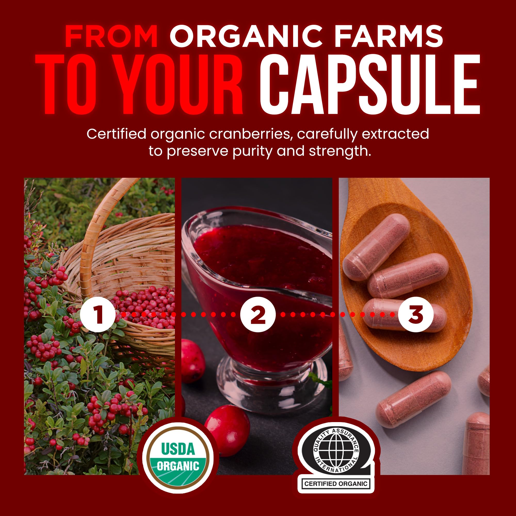 OmniBiotics Organic Cranberry 25:1 Concentrate bottle with measuring spoon