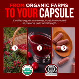 OmniBiotics Organic Cranberry 25:1 Concentrate bottle with measuring spoon