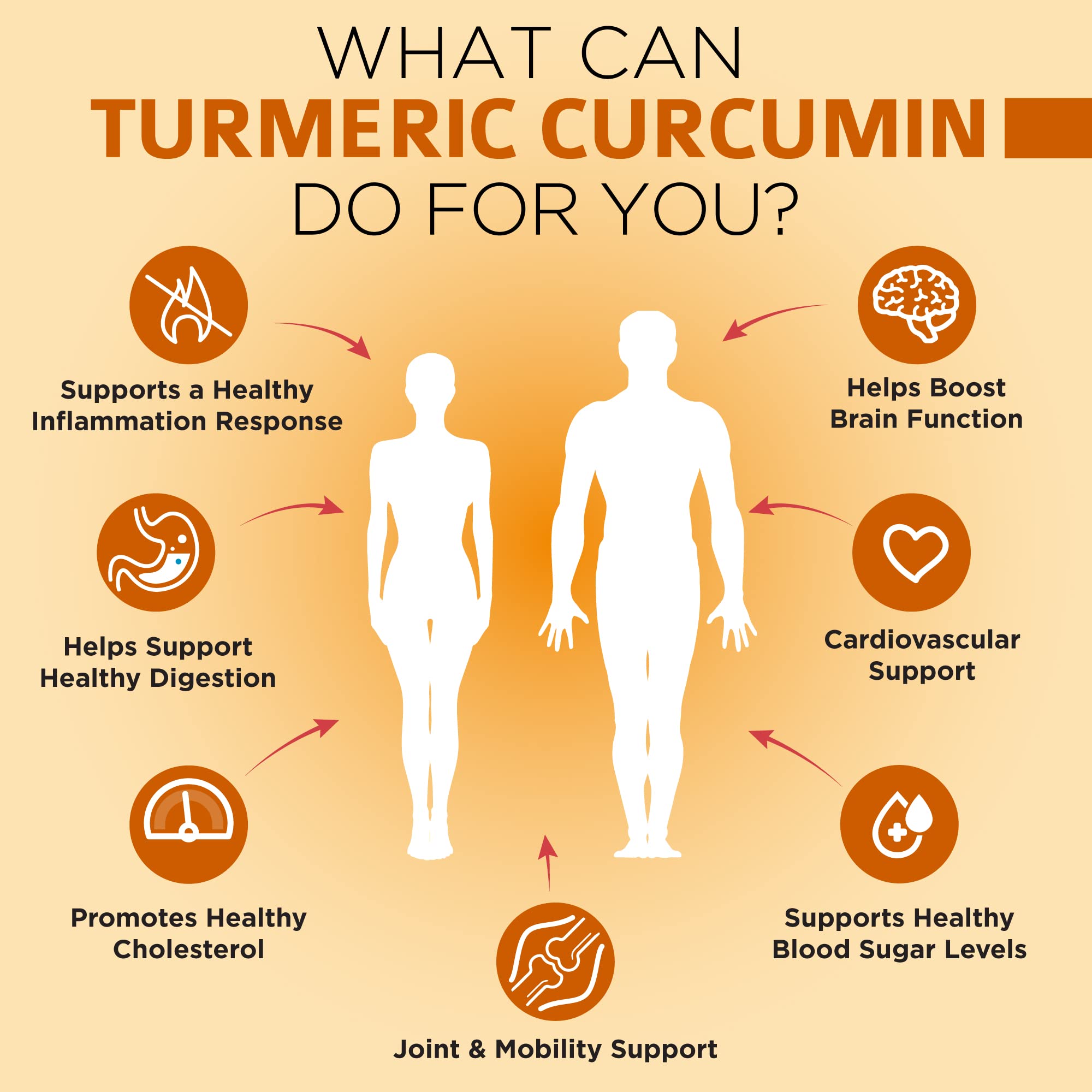 OmniBiotics Turmeric Curcumin Supplement side view