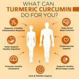 OmniBiotics Turmeric Curcumin Supplement side view