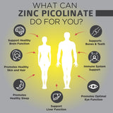 OmniBiotics Zinc Picolinate 30mg capsules bottle with label