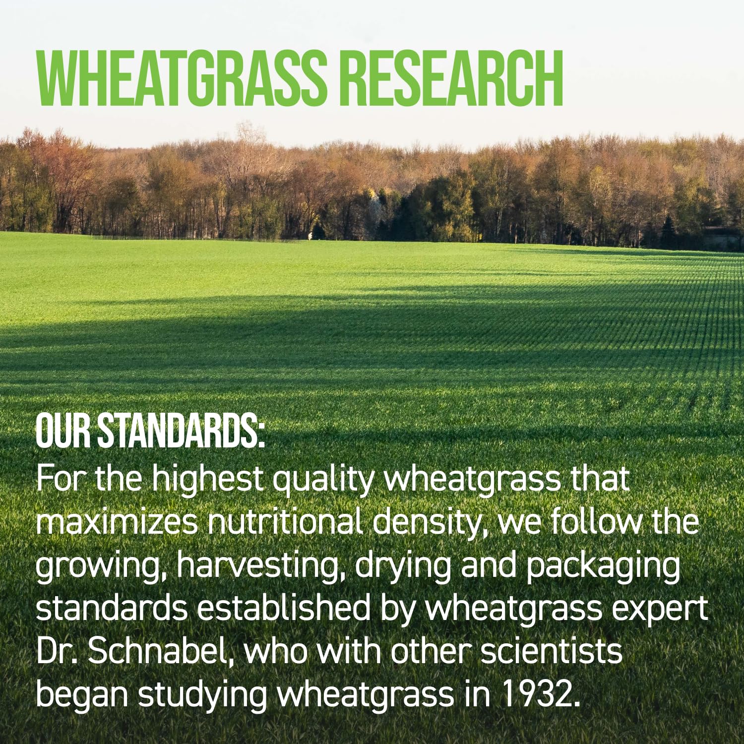 On Target Living Organic Wheatgrass Tablets on a wooden table