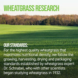 On Target Living Organic Wheatgrass Tablets on a wooden table