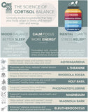 ONE 365 Adrenal Extracts Supplement ingredients list