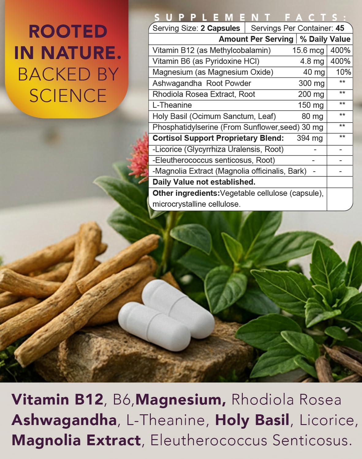 ONE 365 Adrenal Extracts Supplement on a kitchen counter