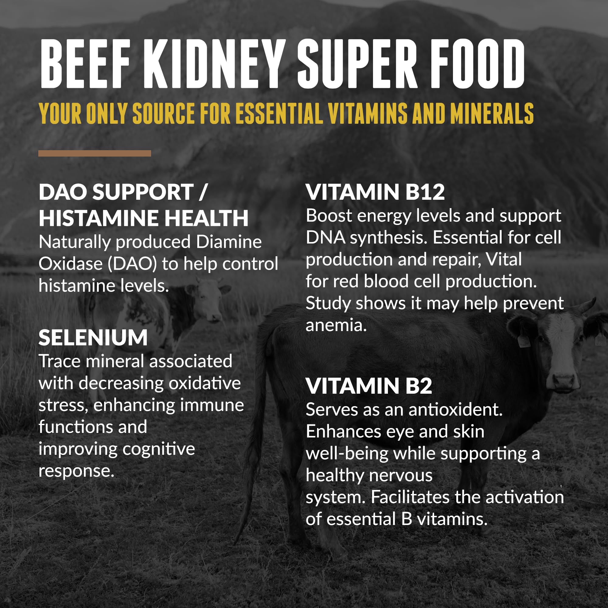 One Earth Health Beef Kidney Supplement with nutritional information
