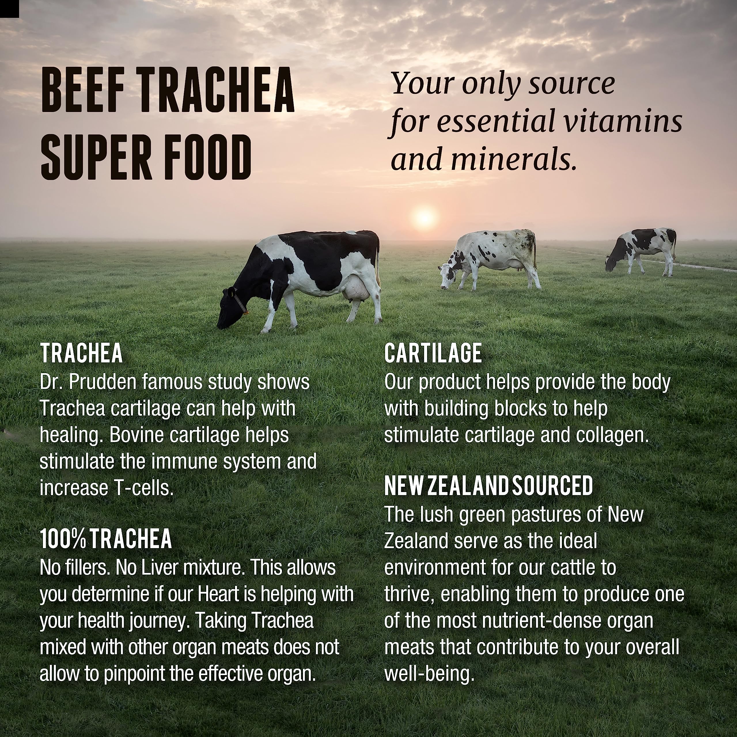 One Earth Health Trachea Supplement ingredients list