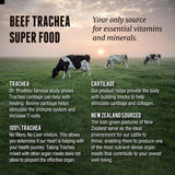 One Earth Health Trachea Supplement ingredients list