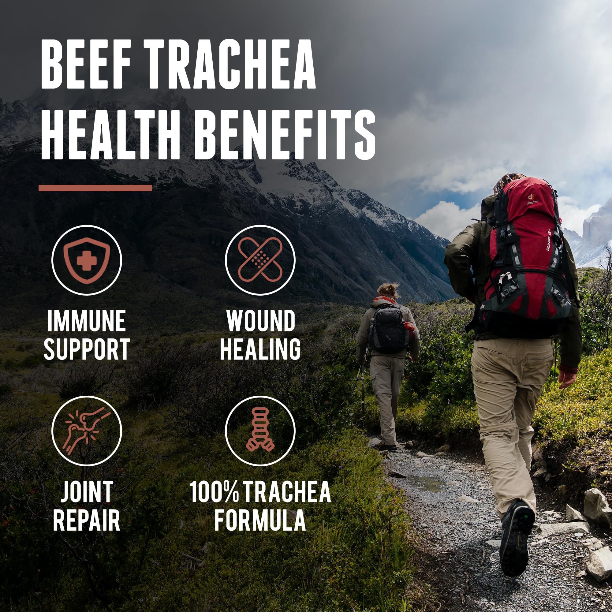 One Earth Health Trachea Supplement packaging