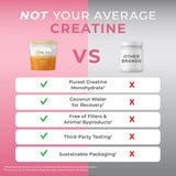 One Sol Creatine & Leucine Blend 181g Sour Cherry with workout gear