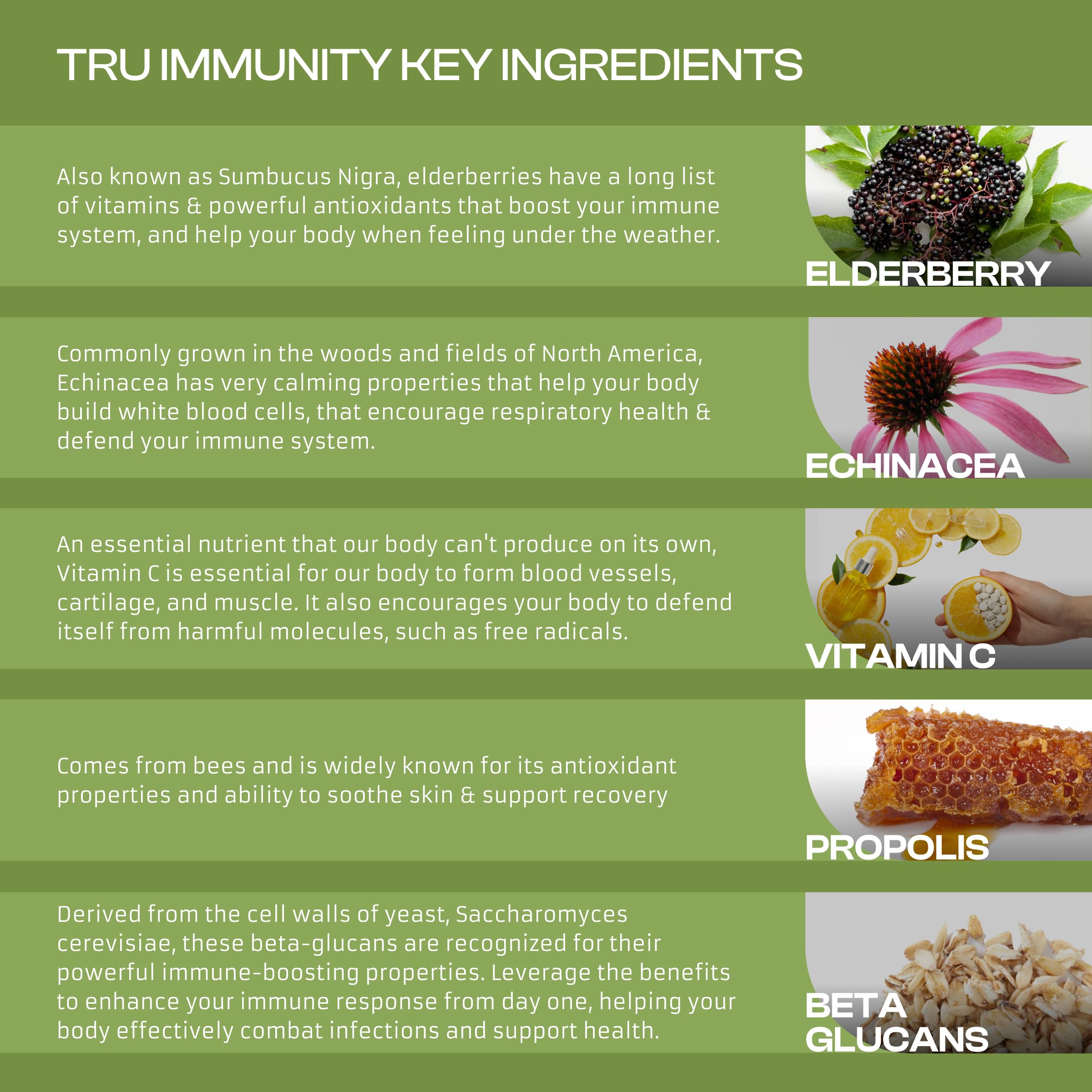 Only Nutri Labs Echinacea Daily Wellness Capsules packaging