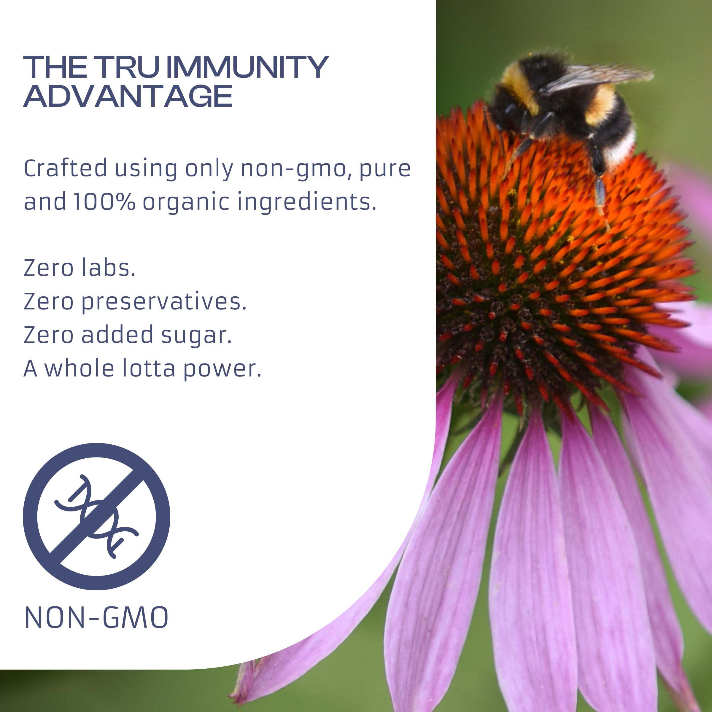 Only Nutri Labs Echinacea Daily Wellness Capsules with other supplements