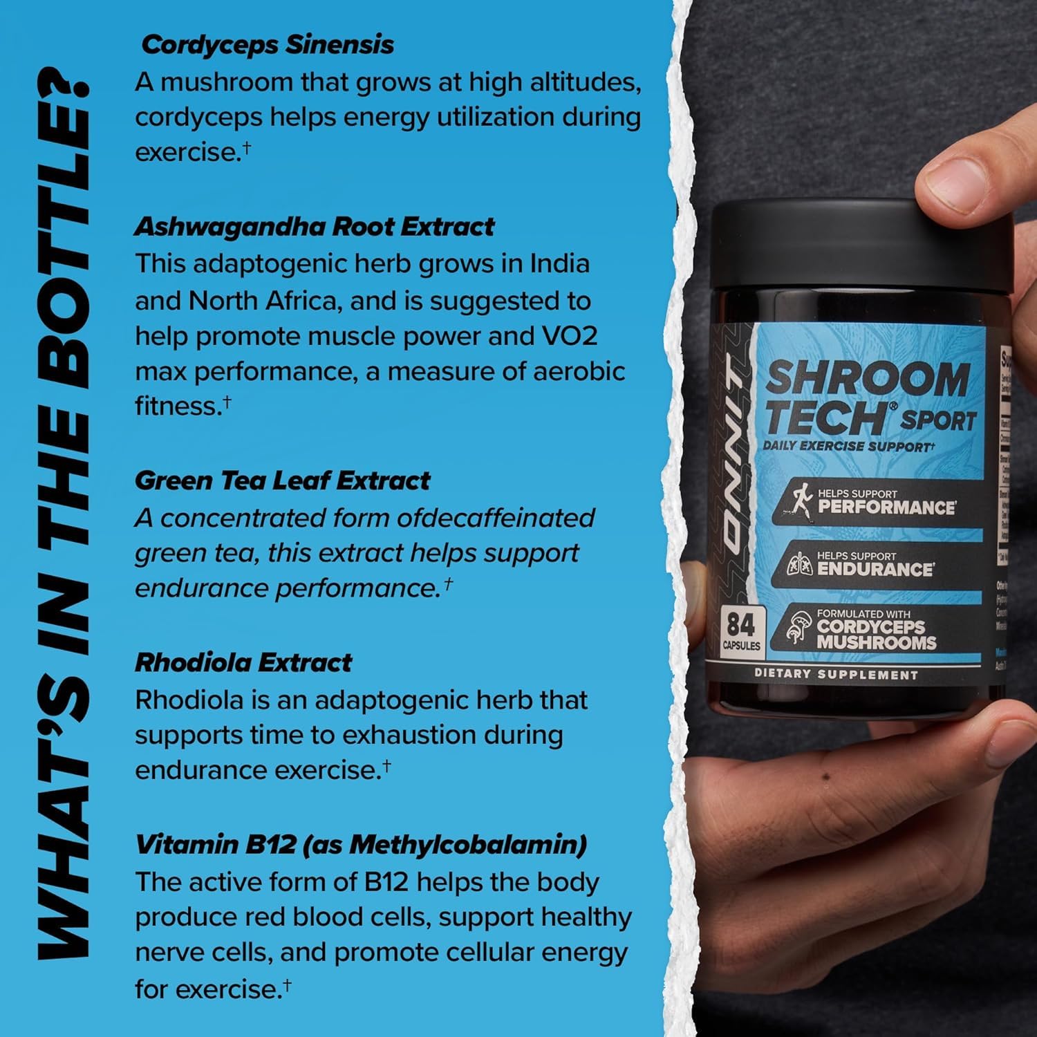 ONNIT Alpha BRAIN and Shroom Tech SPORT bundle packaging