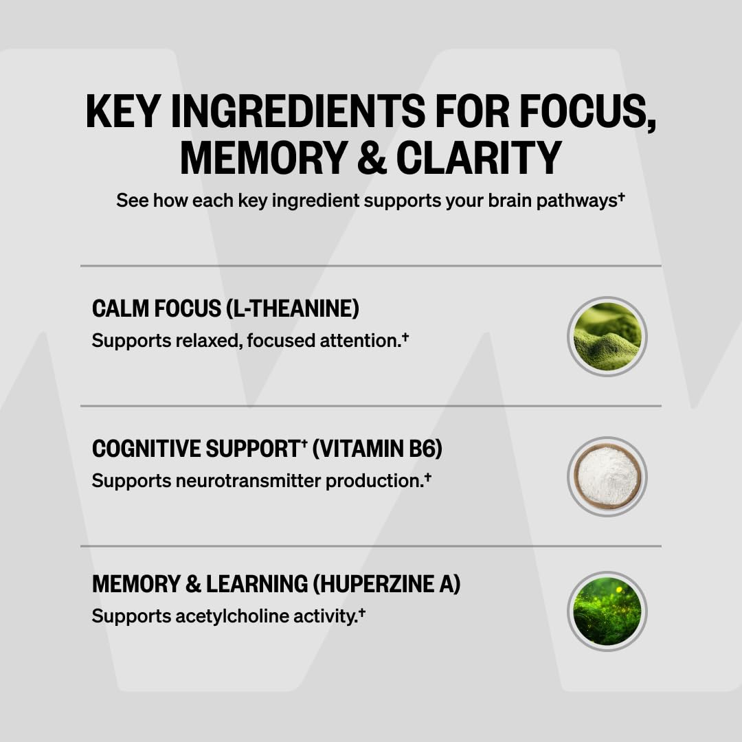 ONNIT Alpha Brain Cognitive Support Supplement in a hand