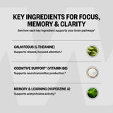 ONNIT Alpha Brain Cognitive Support Supplement in a hand