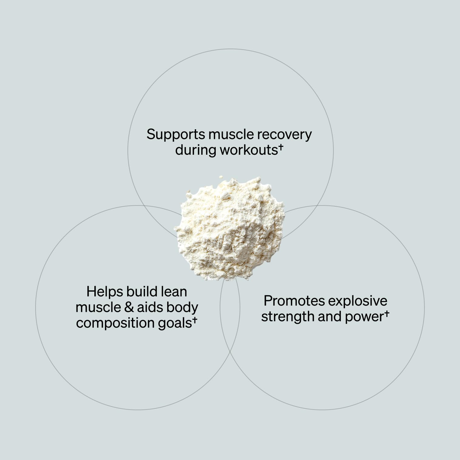ONNIT Creatine Monohydrate 590g nutritional information