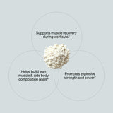 ONNIT Creatine Monohydrate 590g nutritional information