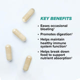 ONNIT Total a daily routine capsules in a hand