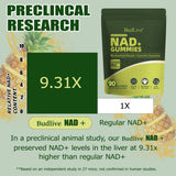 Open bottle of BudLive NAD+ Resveratrol Gummies with gummies spilling out