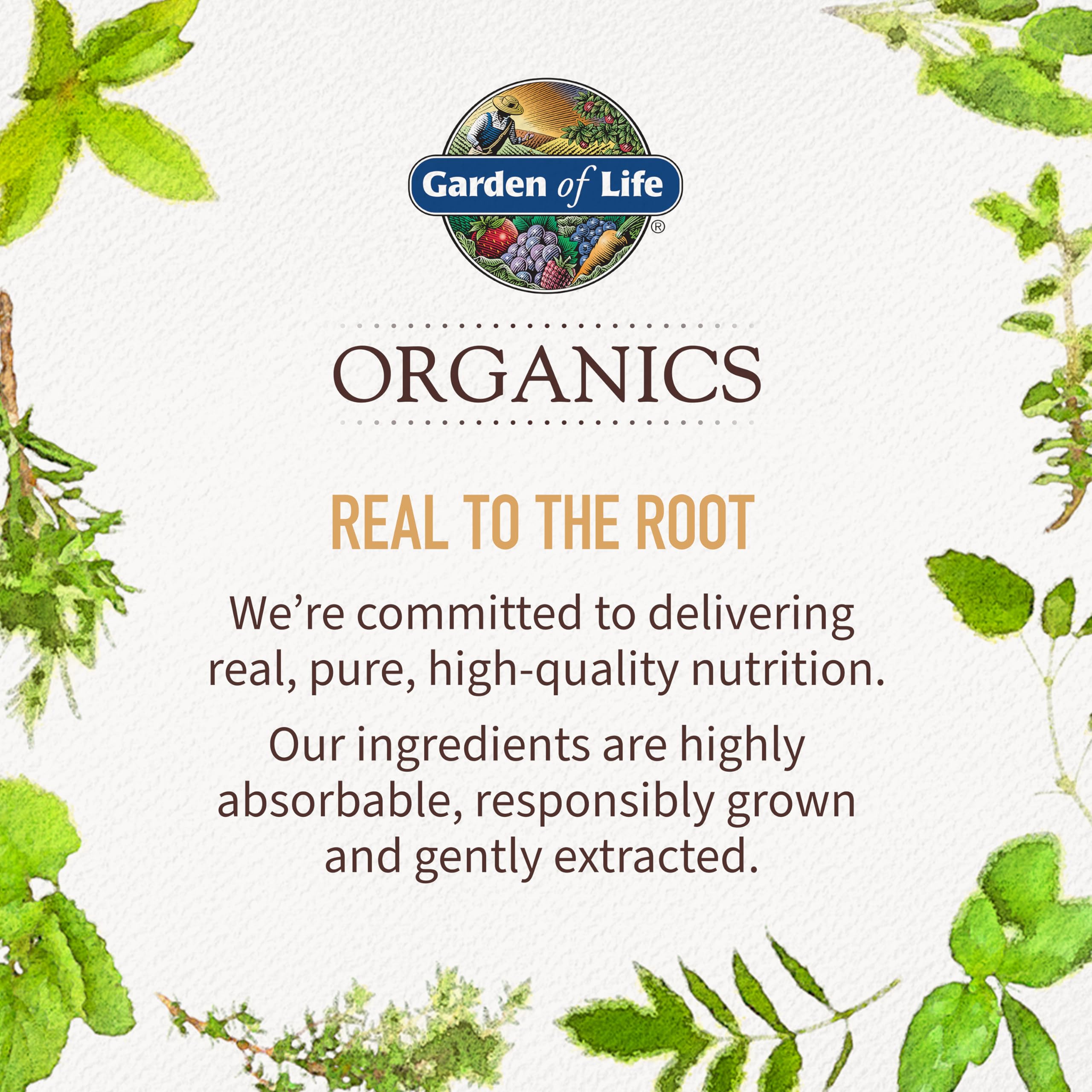 Open bottle of Garden of Life Men's Gummy Vitamins displaying gummies