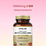 Oppuland Vitamin B12 tablets on a wooden table