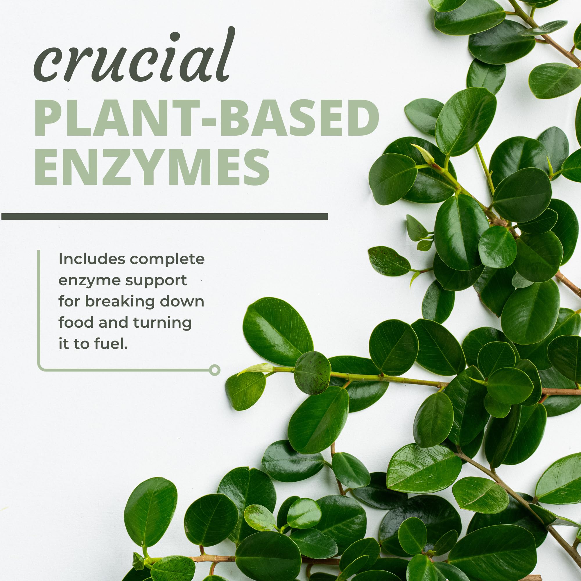 Optimal Health Systems Multi-Enzymes opened package showing capsules