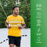 Optimum Nutrition Creatine [+] 720g Strawberry Peach packaging
