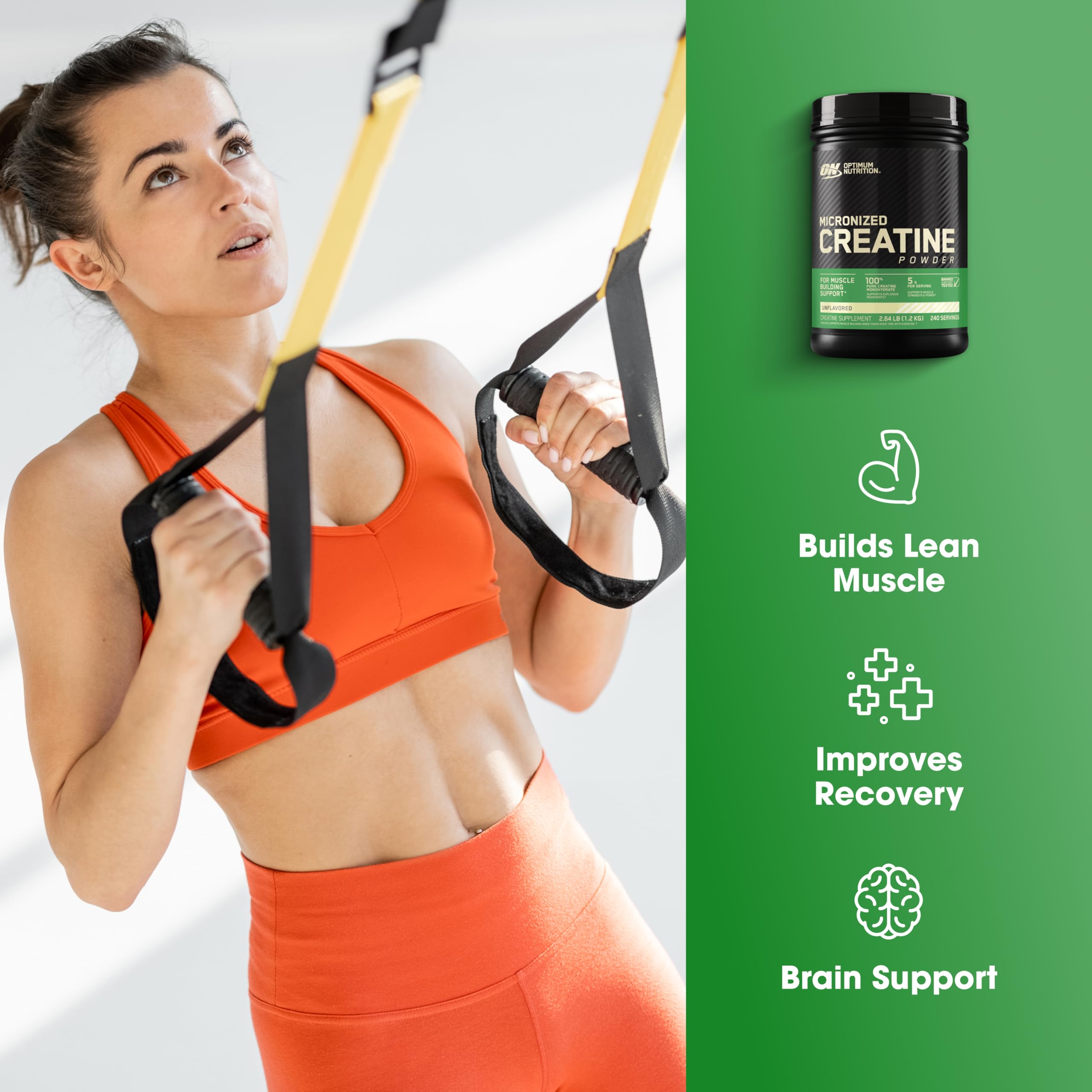 Optimum Nutrition Creatine Monohydrate 1200g back view