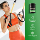 Optimum Nutrition Creatine Monohydrate 1200g back view