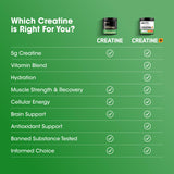 Optimum Nutrition Creatine Monohydrate 1200g packaging details
