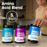 Optimum Nutrition Essential Amino Energy 585g packaging