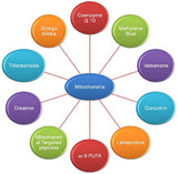 Optimum Upgrade Methylene Blue Supplement product overview