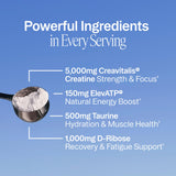 Ora Organic Muscle Memory Creatine Powder Acai flavour scoop