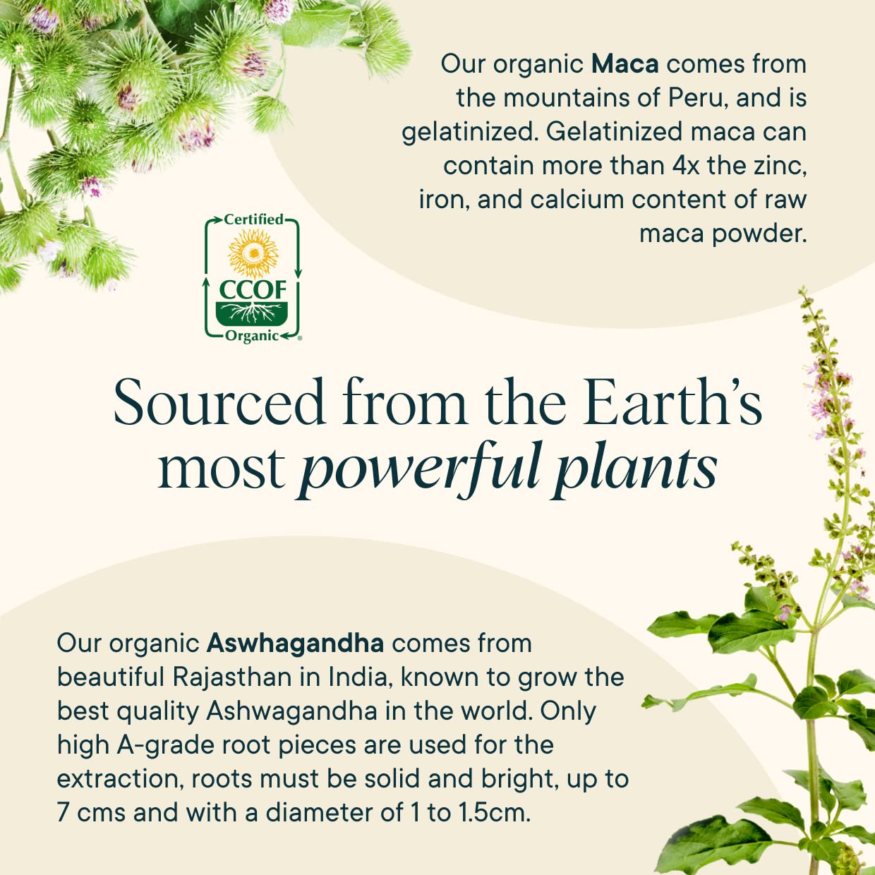 Ora Organic Support Capsules 222g close-up of capsules