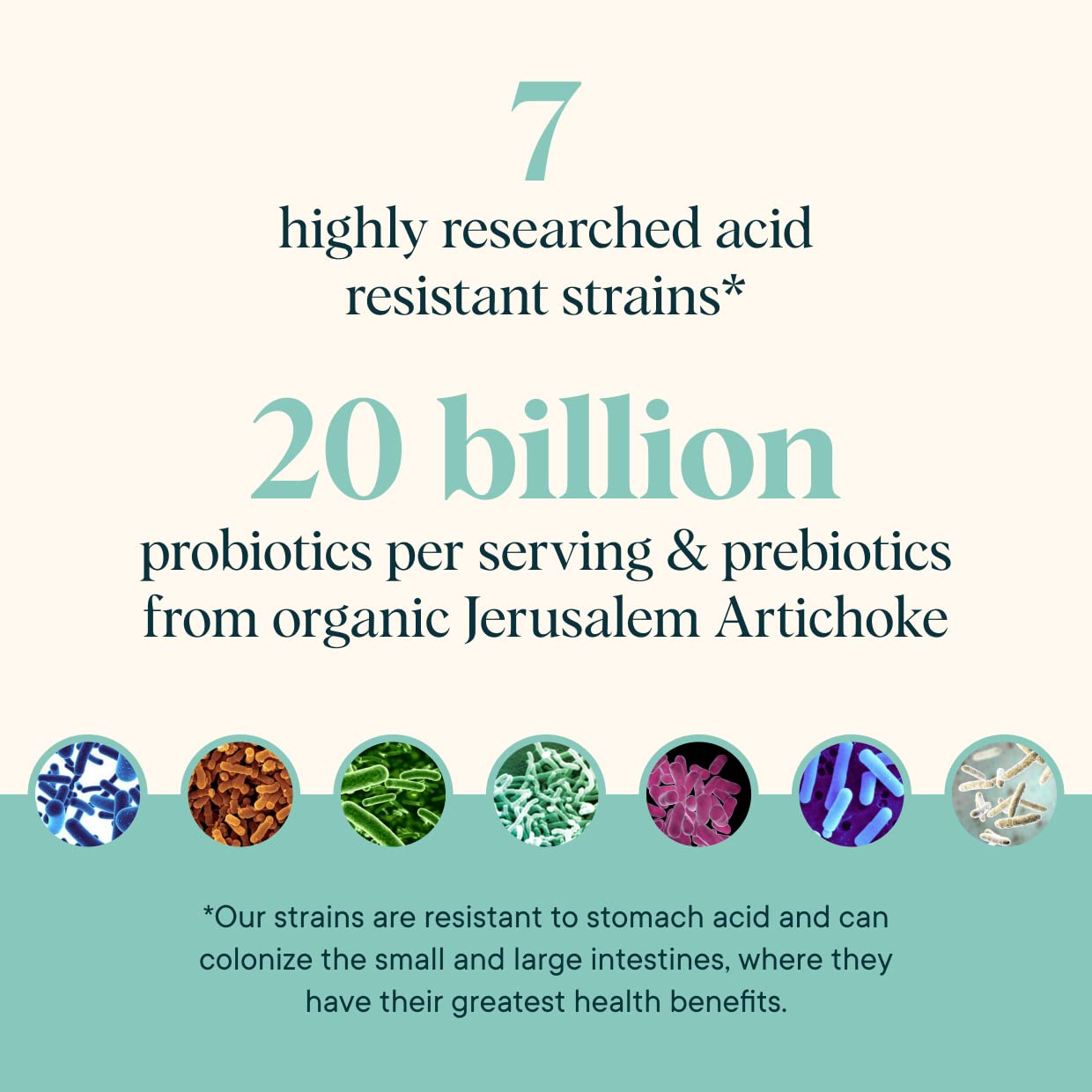 Ora Organic Synbiotic Prebiotic Capsules packaging